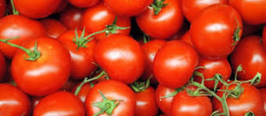 Pomodori